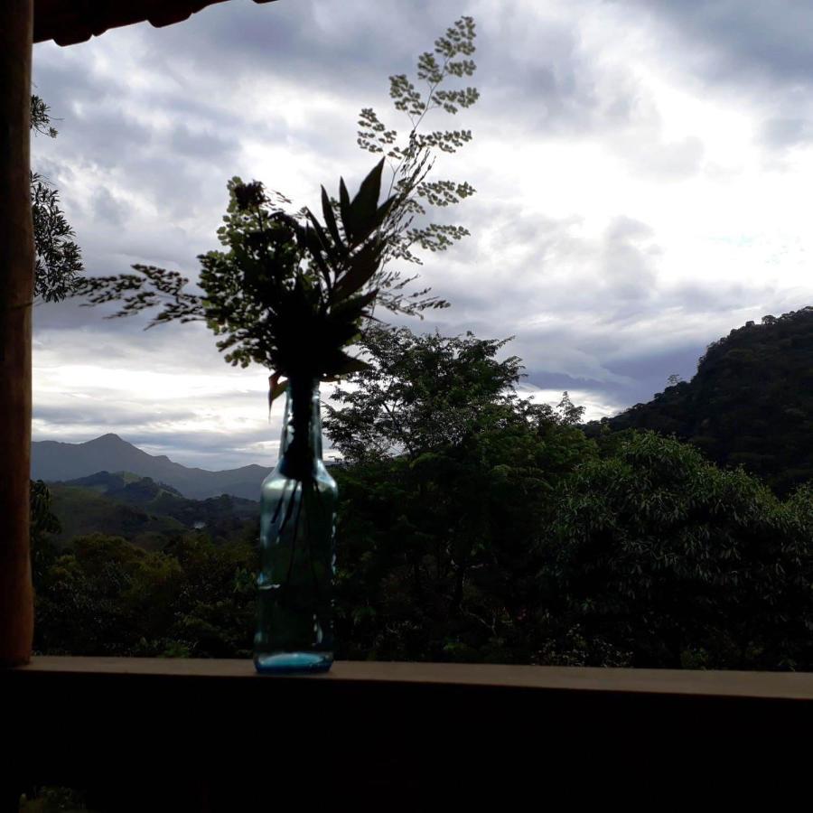 Casa Verde Da Floresta Da Gavea Visconde De Mauá Buitenkant foto